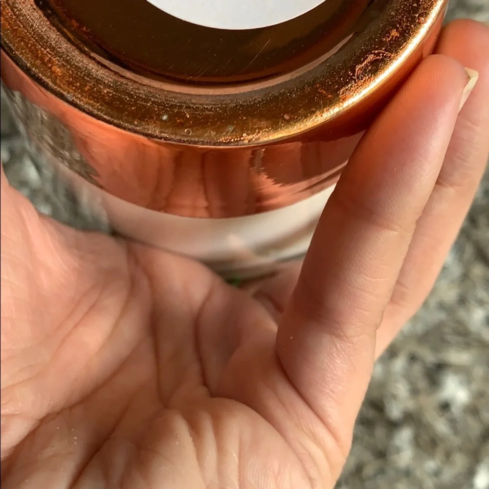Rose‎ gold Succulent ceramic and metallic plant pot